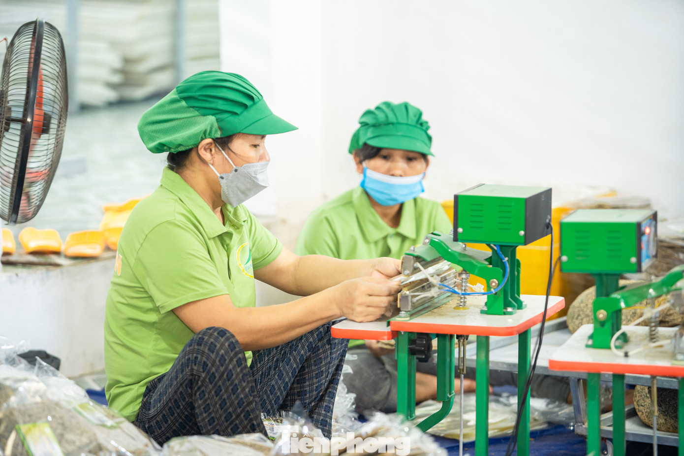 “Nếu trước đây bánh tráng xong phải phơi nắng, phụ thuộc vào thời tiết nên có khi quá giòn, có khi lại ẩm mốc, nay với công nghệ sấy khép kín, chất lượng luôn đảm bảo để giữ trọn vị bánh đa đặc sản”, anh Thắng nói.