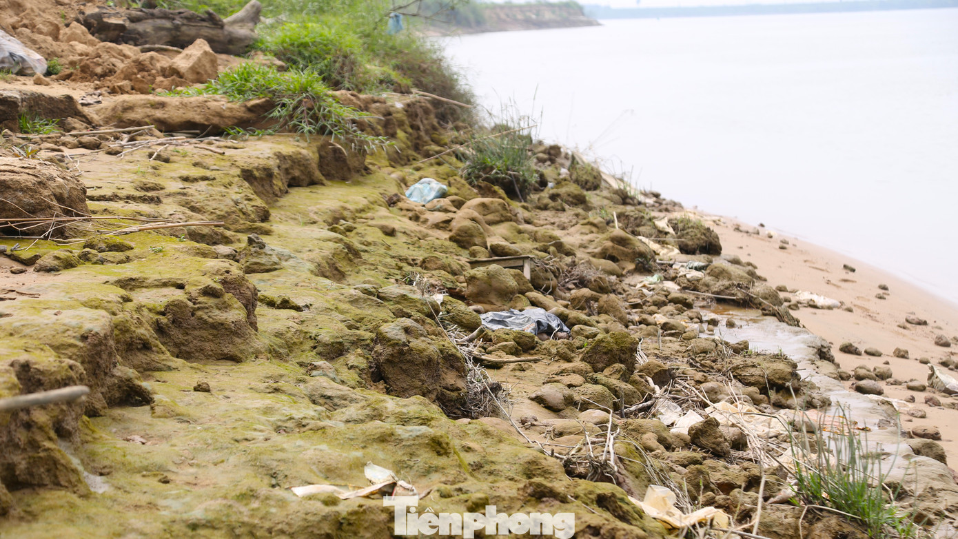 Các điểm sạt lở ngày càng lấn sâu vào đất sản xuất của người dân.