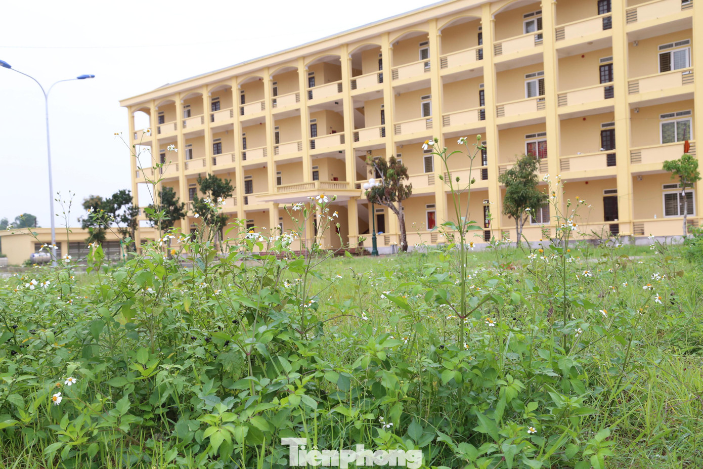 Theo ghi nhận hiện 5 dãy nhà gồm: 3 dãy nhà học, 1 khu ký túc xá, 1 nhà làm việc và nhiều xưởng thực hành đã được xây dựng. Khuôn viên phía trước đã được lát gạch, trồng cây. Tuy nhiên, khuôn viên phía sau vẫn còn ngổn ngang, cỏ dại mọc um tùm.