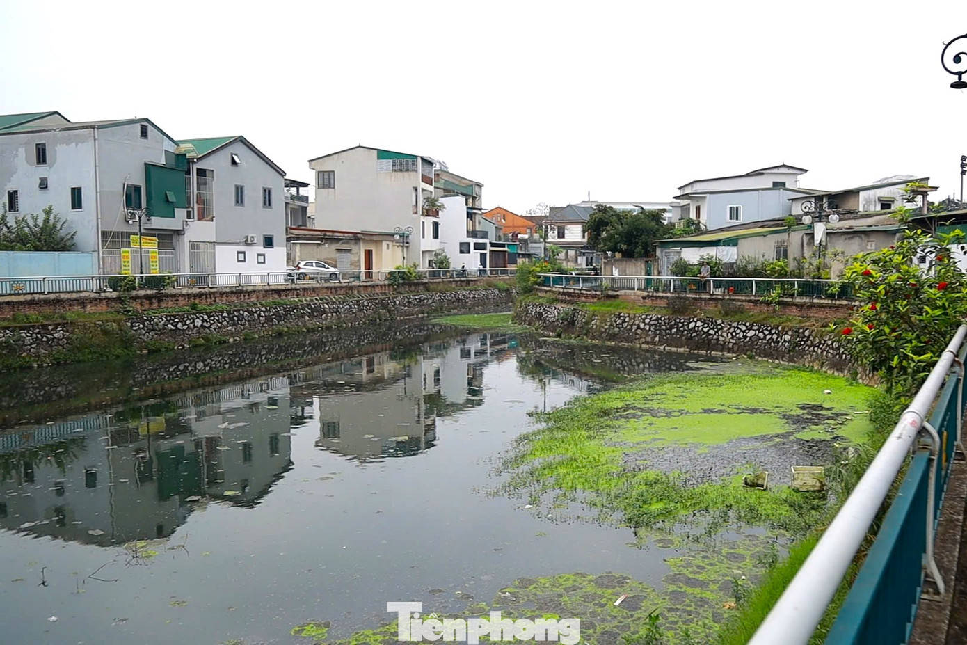 Dự án cải tạo hào thành cổ Vinh được kỳ vọng sẽ cải thiện môi trường, tạo diện mạo mới cho di tích, thế nhưng, tình trạng ô nhiễm ngày càng trở nên trầm trọng hơn.