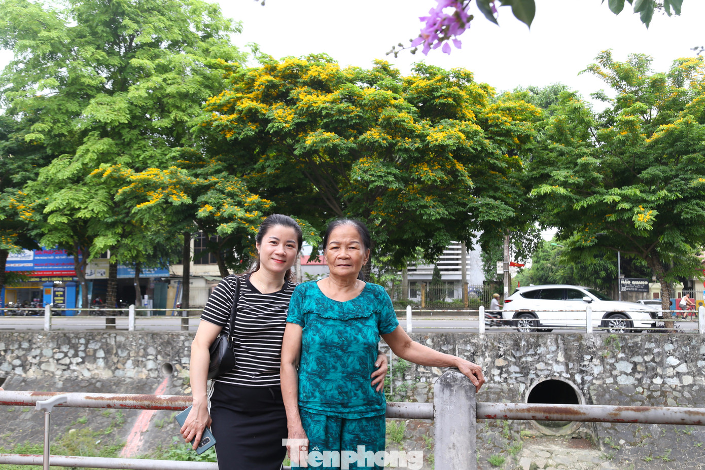 Thời gian hoa giáng hương ở lại trên cây lại rất ngắn, chỉ độ vài ba ngày, do đó, nhiều người tranh thủ lưu giữ khoảnh khắc đẹp.