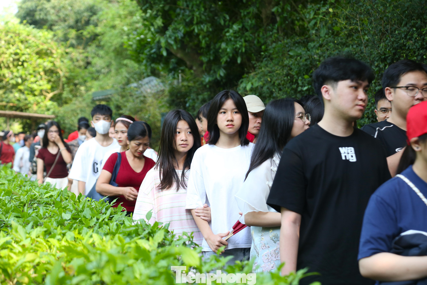 Các lối đi đều kín người. Trên tay họ là những bó hoa tươi thắm, thể hiện tấm lòng biết ơn vô hạn đối với Chủ tịch Hồ Chí Minh.