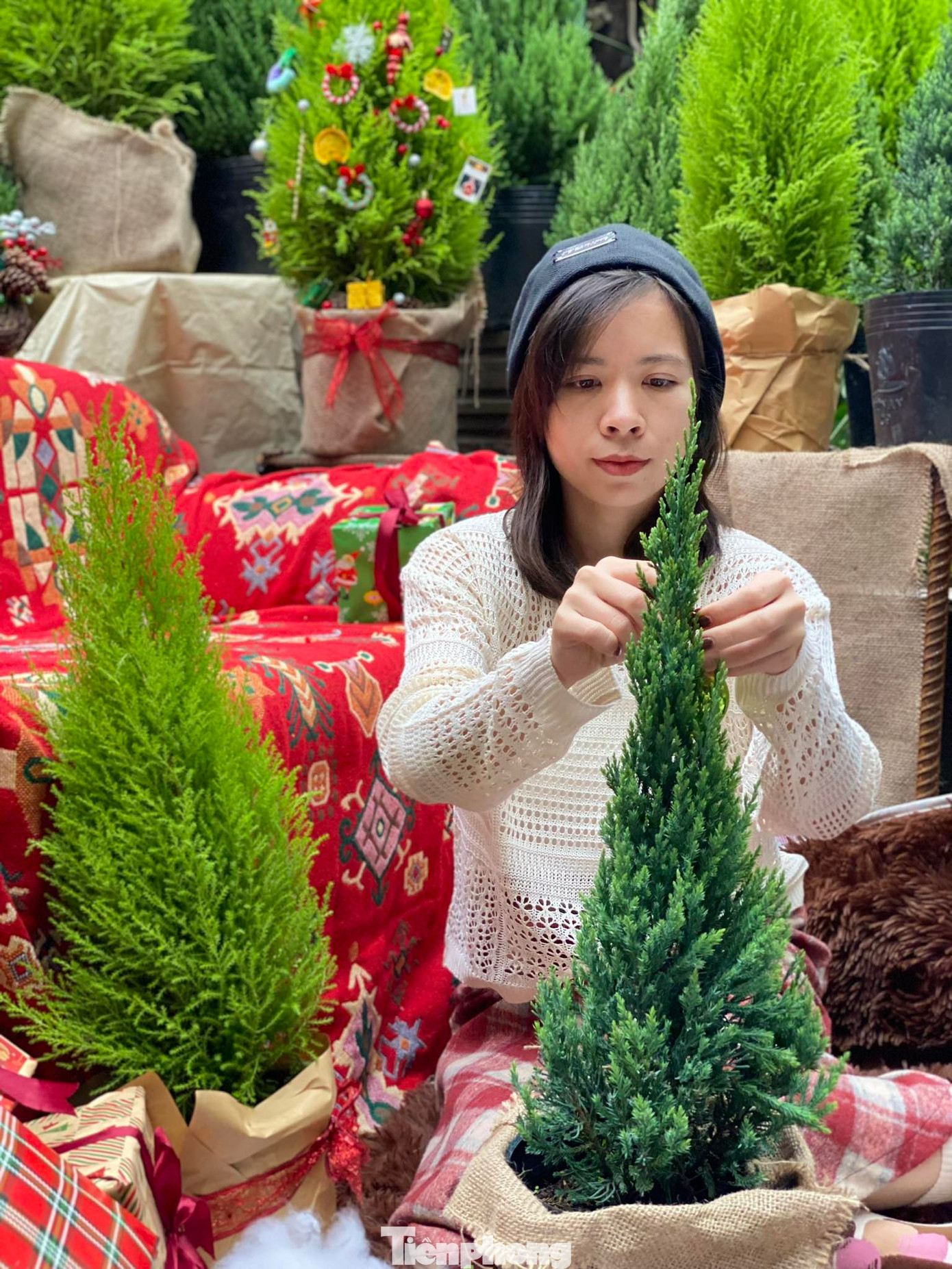 Kinh doanh mặt hàng cành thông tươi nhập khẩu đã 3 năm song năm nay, khi giá thông tươi tăng, chị Tú Dung (trú phường Quán Bàu, TP Vinh) chuyển sang kinh doanh cây tùng thơm, sơn tùng. “Vào mùa Giáng sinh, đơn hàng cây cảnh đặt mua online “nổ” liên tục, trong đó cây tùng thơm có kích thước nhỏ 60-80cm, trang trí vỏ cây khô, chuông, quả ngọc, quả thông… bán với giá 80.000 - 100.000 đồng được ưa chuộng. Chỉ tính gần nửa tháng qua, tôi đã bán được khoảng 400 cây tùng thơm các kích cỡ”, chị Dung chia sẻ.