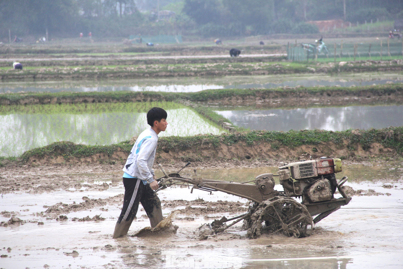 Những ngày này, bà con nông dân Nghệ An đang xuống đồng gieo cấy lúa vụ Xuân trong niềm vui vừa đón một cái Tết sum vầy. Khí thế lao động hối hả hứa hẹn một vụ mùa thắng lợi.