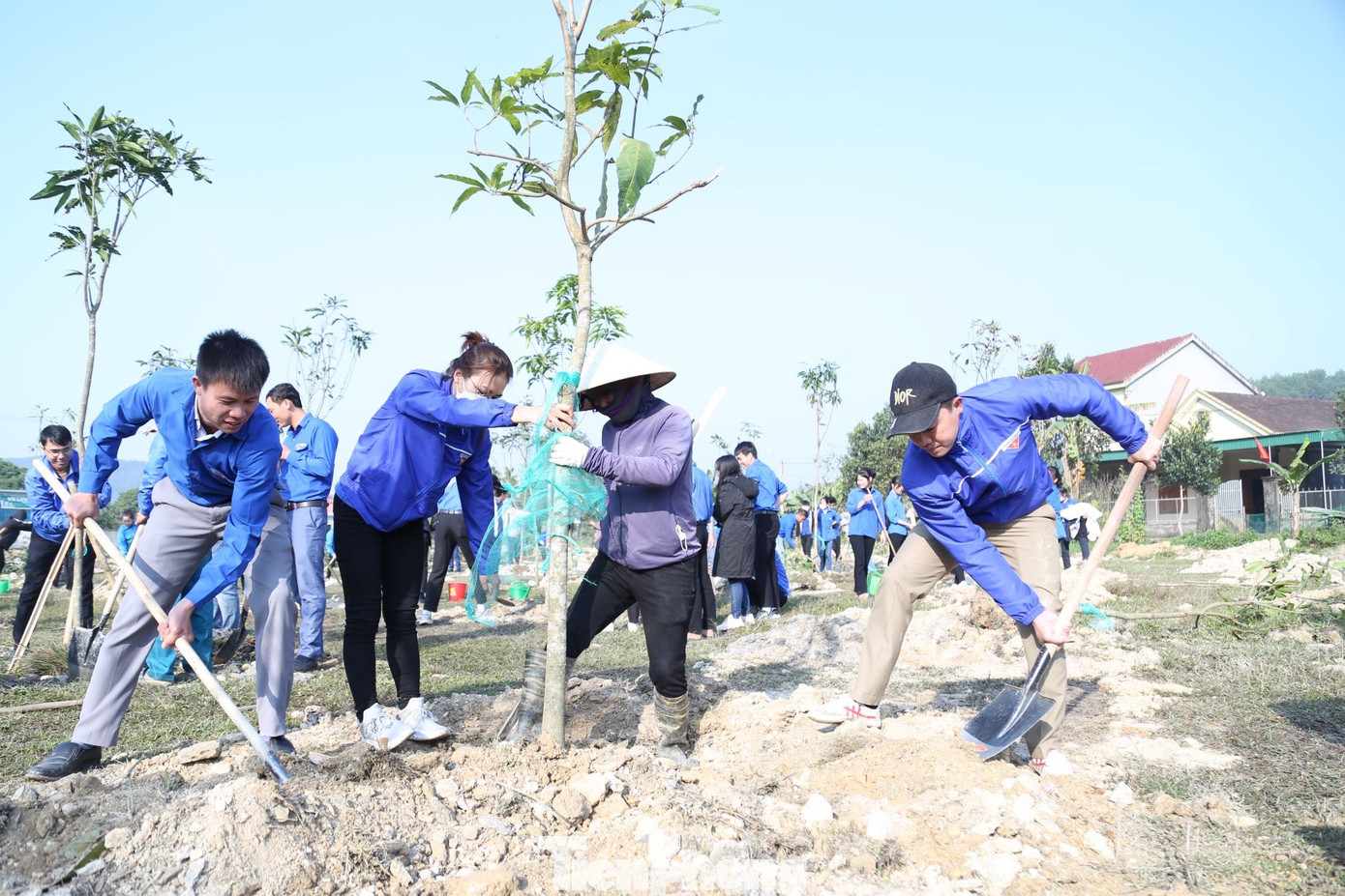 Hoạt động phát huy truyền thống tốt đẹp về “Tết trồng cây đời đời nhớ ơn Bác Hồ” trong dịp đón chào năm mới; thể hiện vai trò của tuổi trẻ trong việc trồng cây, trồng rừng; cụ thể hóa kế hoạch thực hiện Đề án trồng 1 tỷ cây xanh gắn với bảo vệ môi trường, ứng phó biến đổi khí hậu; đưa chỉ tiêu nghị quyết Đại hội Đoàn các cấp vào cuộc sống.
