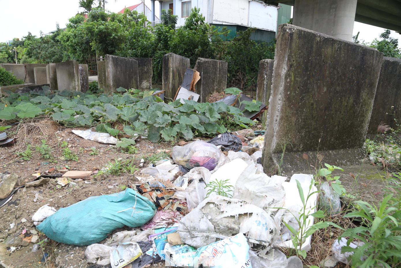 Rác thải dọc tuyến đường Lê Ninh gây ô nhiễm môi trường, mất mỹ quan đô thị