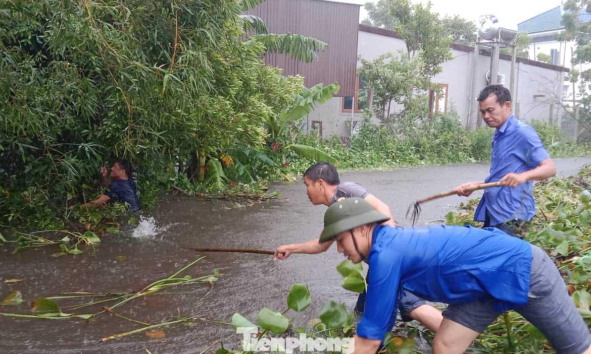 Đội mưa giúp người dân vớt bèo, khơi thông dòng chảy