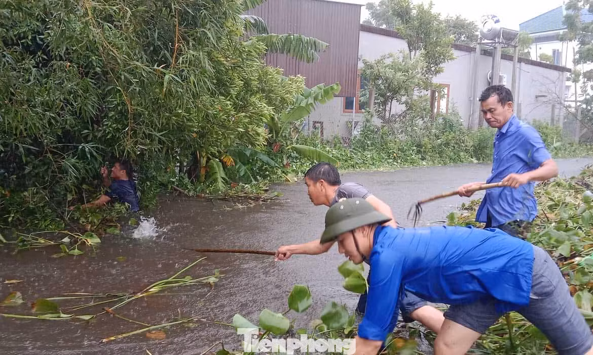 Đội mưa giúp người dân vớt bèo, khơi thông dòng chảy