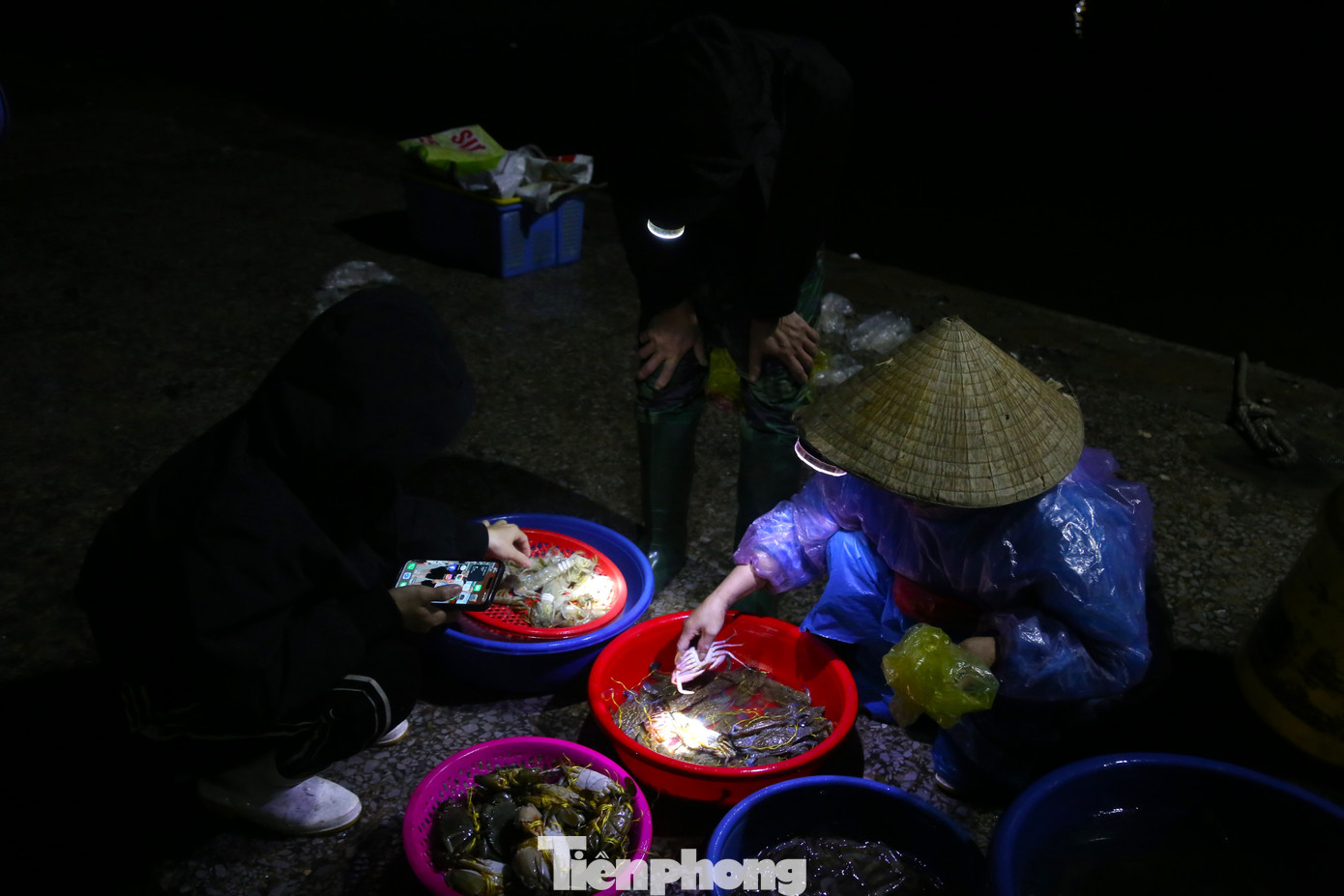 Bà Nguyễn Thị Giang (trú phường Nghi Thủy, TP Vinh) buôn bán ở chợ bến cá hơn 20 năm nay cho biết: “Nghề này tuy vất vả về thời gian do phải dậy từ rất sớm nhưng cũng cho thu nhập khá. Hải sản ở đây chủ yếu là tôm, mực, cá, ghẹ... được đánh bắt sau một đêm nên tươi rói, được nhiều khách ưa chuộng”.