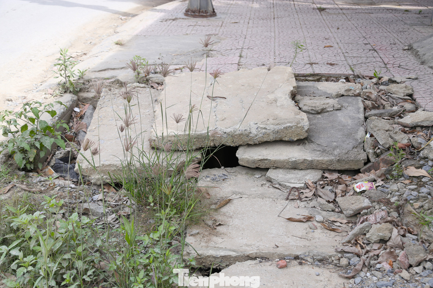 Khung cảnh ngổn ngang...