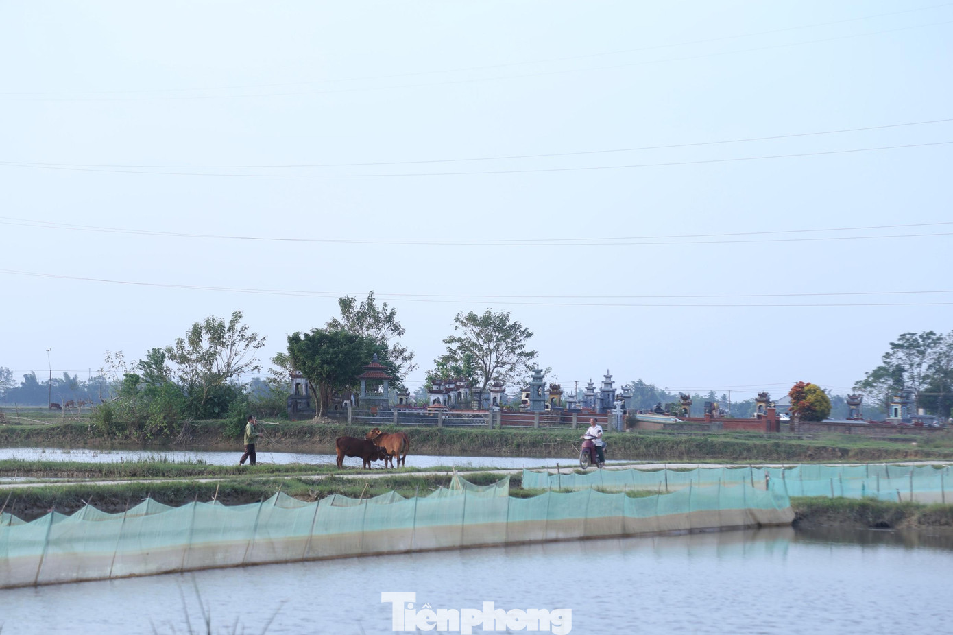 Lưới khoanh rươi thường được người dân giăng trên ruộng tầm 2 - 3 tháng. Đến cuối vụ rươi, bà con nông dân sẽ thu lưới về cất. Lưới khoanh rươi thường được người dân giăng trên ruộng tầm 2 - 3 tháng. Đến cuối vụ rươi, bà con nông dân sẽ thu lưới về cất.