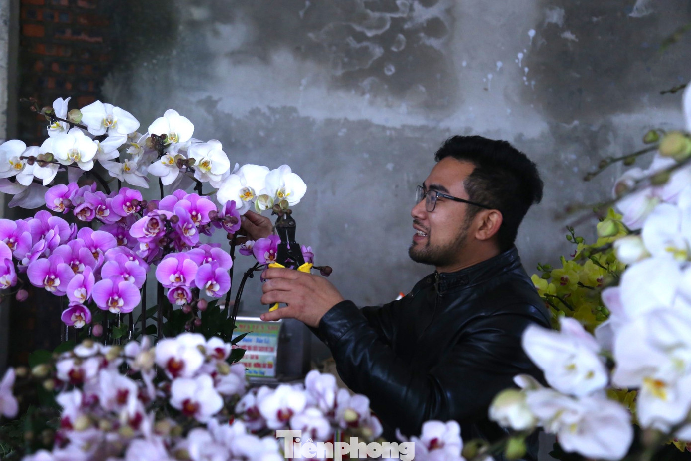 “Nhu cầu khách hàng cao, bán ra lượng hoa nhiều nên những công nhân cắm lan, trang trí chậu lan có tay nghề cao có thu nhập rất tốt trong dịp Tết. Dịp này, tôi phải thuê 3 thợ kết lan chính và 5 thợ phụ để thiết kế, tạo hình, cho lan vào chậu để bán cho khách”, anh Hà chia sẻ. “Nhu cầu khách hàng cao, bán ra lượng hoa nhiều nên những công nhân cắm lan, trang trí chậu lan có tay nghề cao có thu nhập rất tốt trong dịp Tết. Dịp này, tôi phải thuê 3 thợ kết lan chính và 5 thợ phụ để thiết kế, tạo hình, cho lan vào chậu để bán cho khách”, anh Hà chia sẻ.