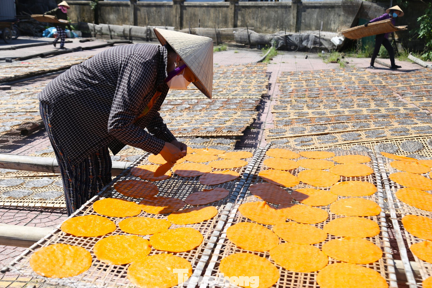 Bánh sau khi hấp chín được rải trên các tấm đan bằng tre, nứa để phơi khô bằng ánh nắng mặt trời. Để chiếc bánh không bị cong, vênh, cứng và đẹp mắt thì phải “canh” bánh, người thợ phải trở bánh liên tục. Càng nắng to thì người làm bánh càng thích. Bánh sau khi hấp chín được rải trên các tấm đan bằng tre, nứa để phơi khô bằng ánh nắng mặt trời. Để chiếc bánh không bị cong, vênh, cứng và đẹp mắt thì phải “canh” bánh, người thợ phải trở bánh liên tục. Càng nắng to thì người làm bánh càng thích.