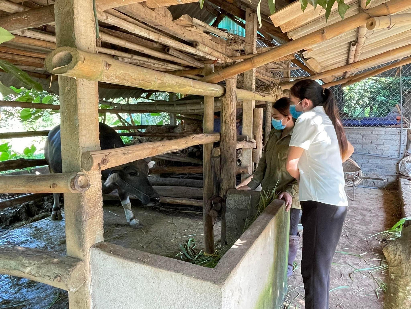 Gia đình chị Hà Thị Thuận là hộ dân thoát nghèo ở xã Nghĩa Lợi, huyện Nghĩa Đàn Gia đình chị Hà Thị Thuận là hộ dân thoát nghèo ở xã Nghĩa Lợi, huyện Nghĩa Đàn