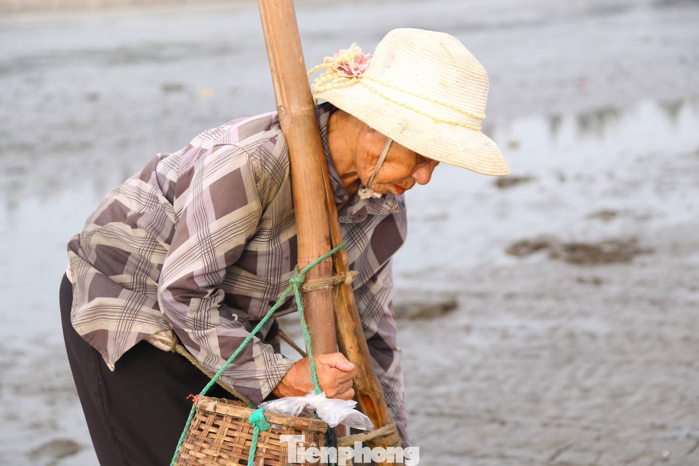 Khi nghe thấy âm thanh va chạm giữa con ngao và lưỡi sắt, người dân sẽ dùng tay móc cát lên để bắt ngao.