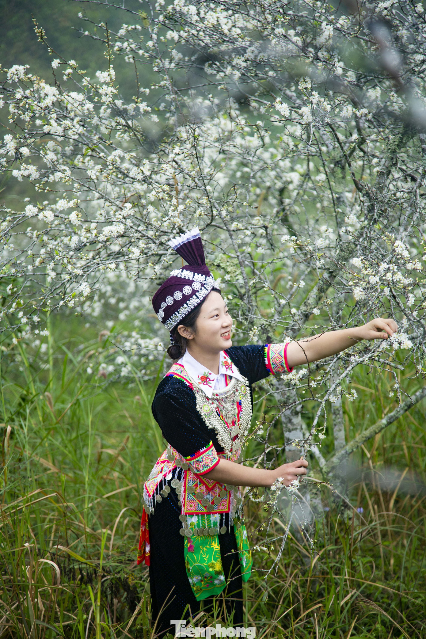 Không cần thả dáng cầu kỳ, chỉ cần đứng bên cạnh loài hoa này là có được bức ảnh đẹp