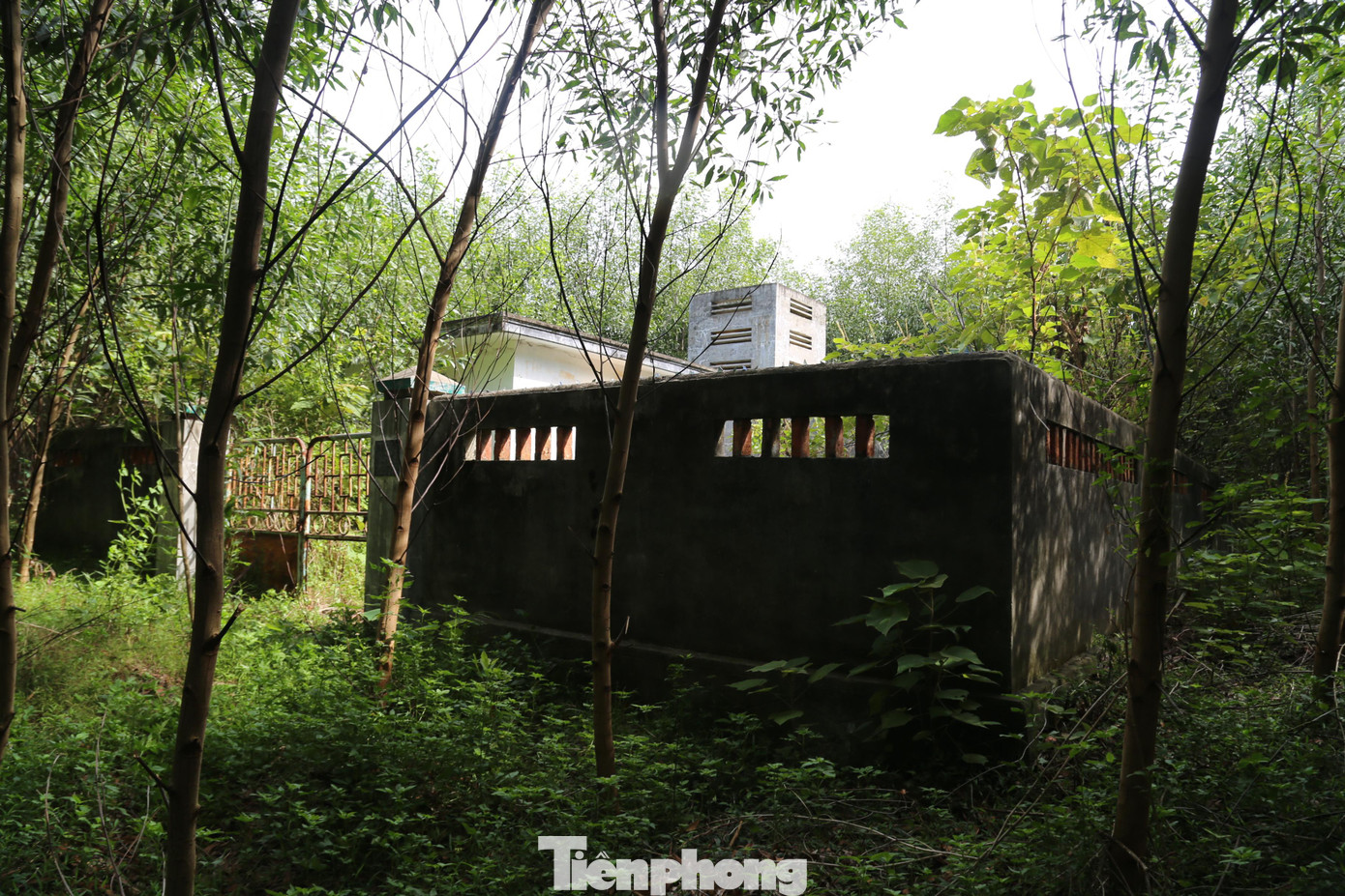 Phải vất vả lắm chúng tôi mới tìm đến được vị trí đặt Nhà máy nước đặt trên một ngọn đồi tại xóm Hương Sơn (nay là xóm 2) xã Bài Sơn, huyện Đô Lương, Nghệ An. Năm 2004, nghe tin có dự án nhà máy nước về với dân làng, 2 hộ dân là ông Nguyễn Khắc Lung và ông Nguyễn Khắc Trung (cùng trú xóm Hương Sơn) đã tự nguyện hiến một phần đất rừng, nhường đất cho dự án.