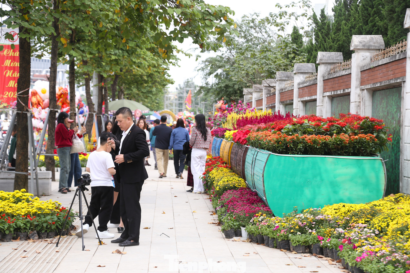 Hơn 60 loại hoa, cây cảnh với hơn 110.000 bông, phân bổ khắp các tuyến đường.