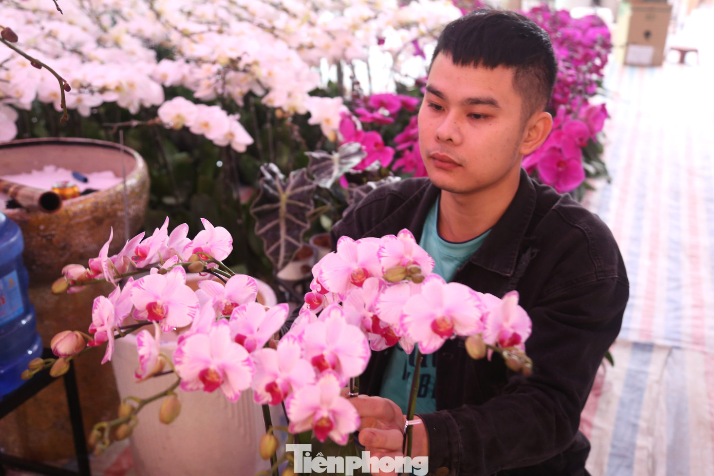 Theo tiết lộ của chủ cửa hàng bán lan, vào dịp Tết Nguyên đán, đặc biệt trong những ngày cao điểm, không hiếm những người thợ tay nghề cao có thể đạt mức thu nhập 4-5 triệu đồng/ngày, thậm chí cao hơn. Còn lại, trung bình cũng có mức thu nhập từ 1 -1,5 triệu đồng/ngày. Theo tiết lộ của chủ cửa hàng bán lan, vào dịp Tết Nguyên đán, đặc biệt trong những ngày cao điểm, không hiếm những người thợ tay nghề cao có thể đạt mức thu nhập 4-5 triệu đồng/ngày, thậm chí cao hơn. Còn lại, trung bình cũng có mức thu nhập từ 1 -1,5 triệu đồng/ngày.