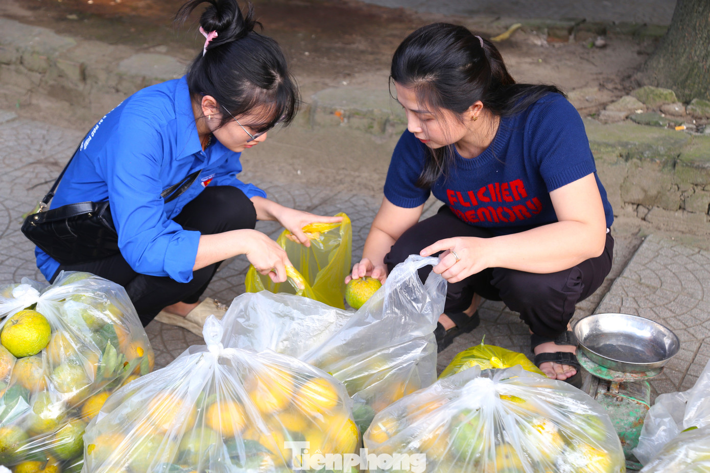 Ngoài các đơn hàng đặt mua online, nhiều người dân cũng đến mua trực tiếp tại chợ với giá bán là 12.000 đồng/kg.