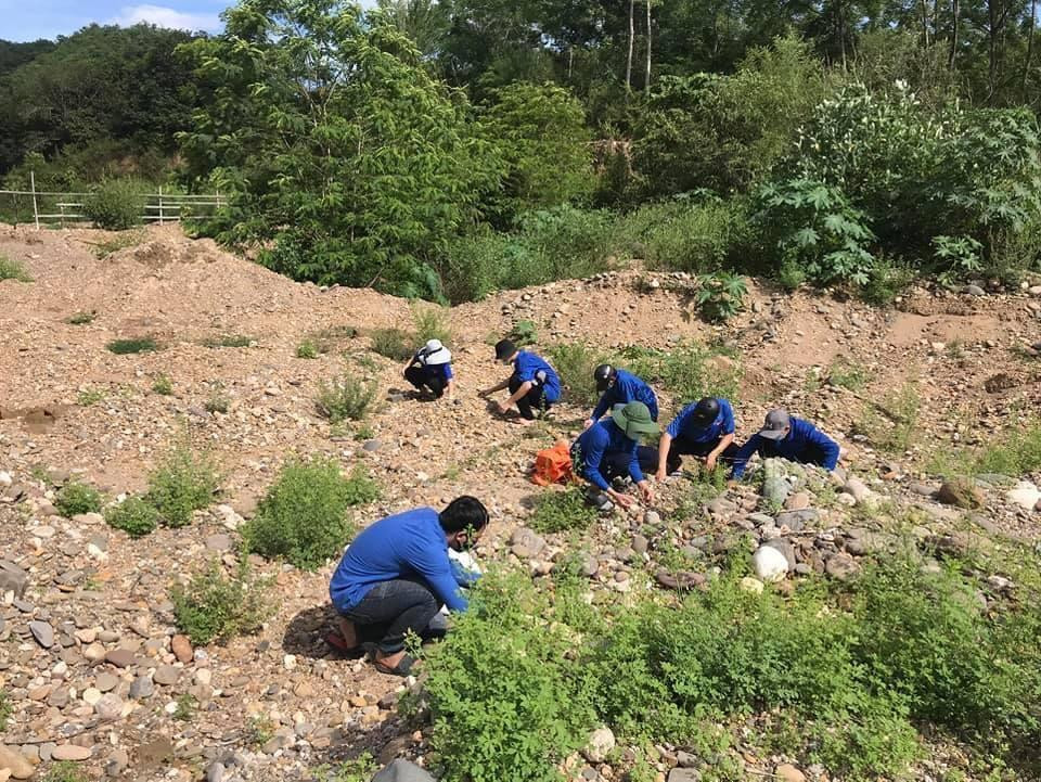 Với lợi thế là huyện miền núi có hệ thống sông, suối dày đặc, có vô vàn những viên đá với nhiều hình thù ngộ nghĩnh, đủ kích thước, là nguồn tài nguyên sẵn có, các bạn đoàn viên thanh niên thị trấn Thạch Giám đã nảy sinh ý tưởng “Hành trình đưa thiên nhiên vào phòng làm việc”, vẽ tranh trên đá để gây quỹ phòng, chống dịch COVID-19.