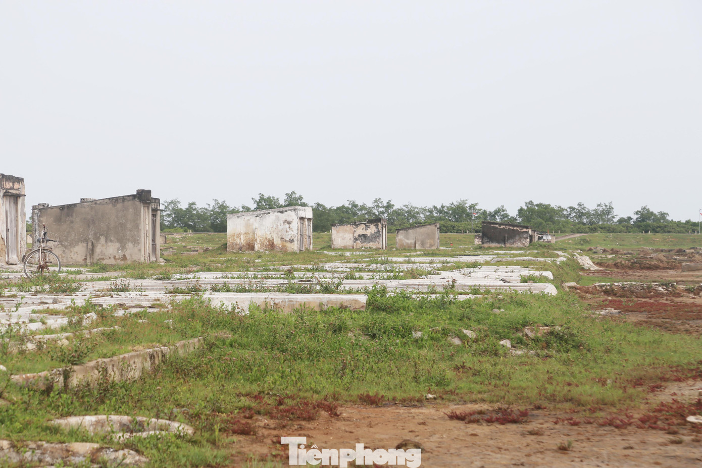 Tại xã Diễn Vạn, huyện Diễn Châu, diện tích cánh đồng muối lên đến 70ha (của 2 HTX là Vạn Nam hơn 50ha và Vạn Đông khoảng 20ha), nhưng năm nay, cả 2 HTX này dự tính chỉ sản xuất được khoảng 30ha.