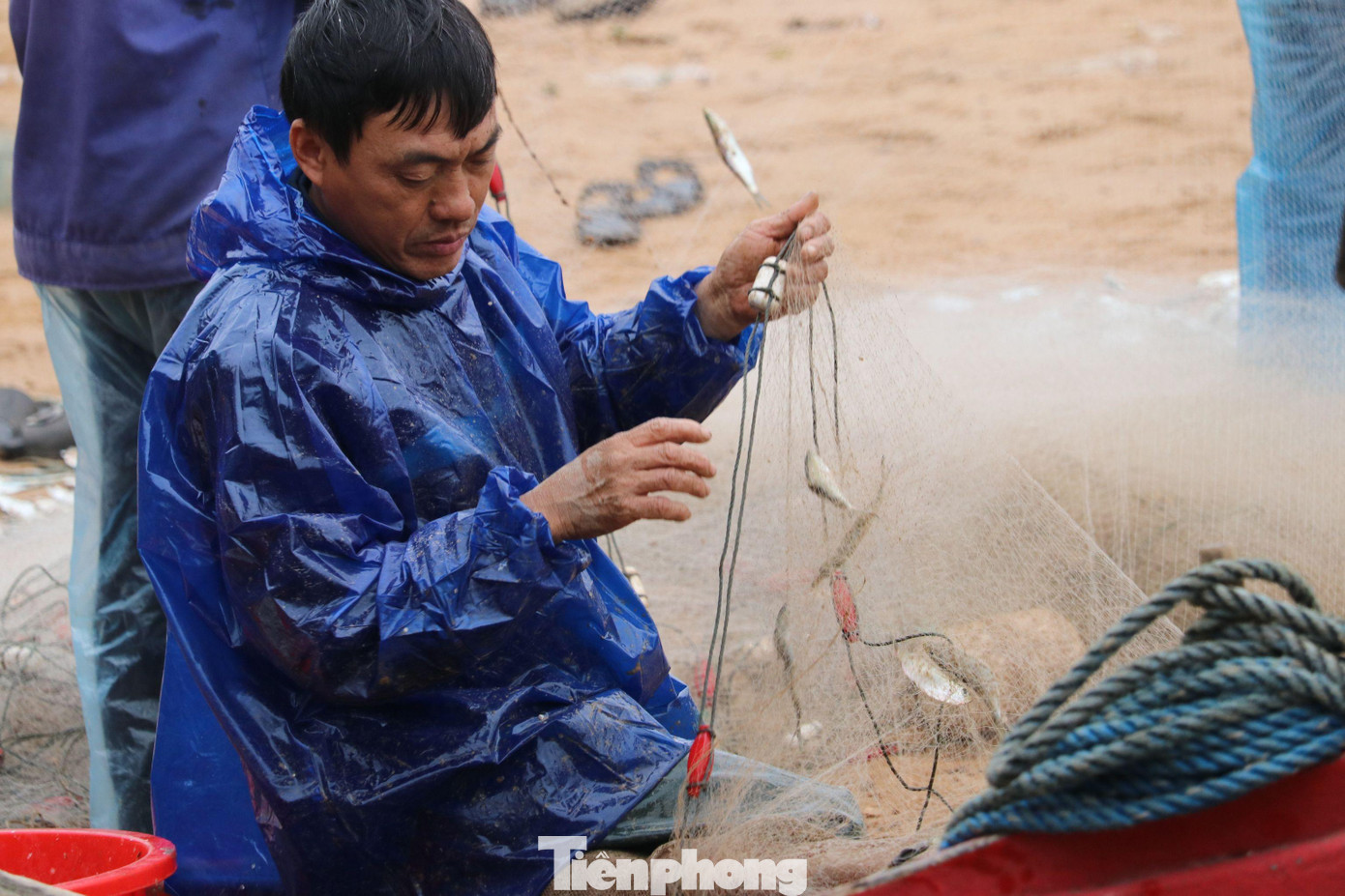 Theo những ngư dân ở đây, mùa cá trích ở vùng biển Nghệ An thường kéo dài từ trước Tết Nguyên đán đến tháng 3 âm lịch. Mỗi chuyến đi biển thường bắt đầu từ 3 giờ sáng, sau hơn 3 tiếng đánh bắt thì thuyền trở về bến. Theo những ngư dân ở đây, mùa cá trích ở vùng biển Nghệ An thường kéo dài từ trước Tết Nguyên đán đến tháng 3 âm lịch. Mỗi chuyến đi biển thường bắt đầu từ 3 giờ sáng, sau hơn 3 tiếng đánh bắt thì thuyền trở về bến.