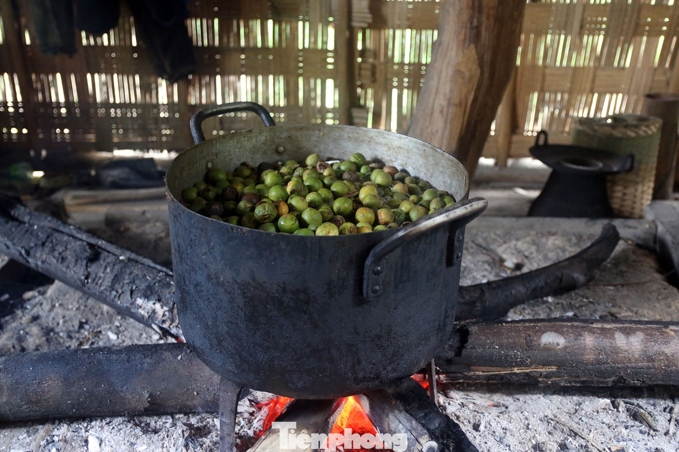 Sau khi thu hái về, bước đầu tiên là luộc bo bo.
