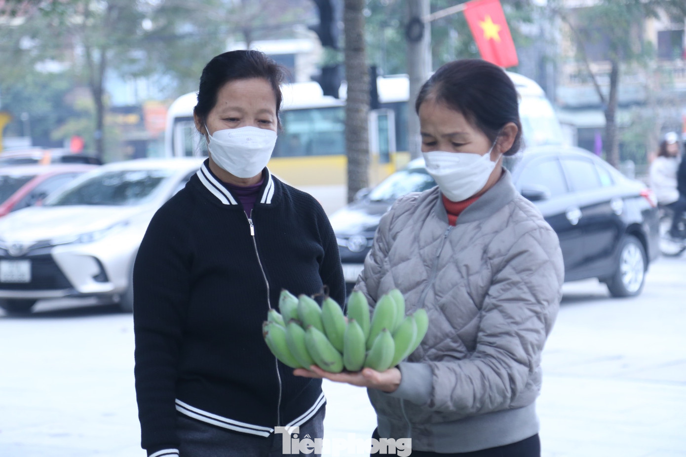Người dân chọn mua chuối xanh để bày lên mâm ngũ quả ngày Tết Người dân chọn mua chuối xanh để bày lên mâm ngũ quả ngày Tết