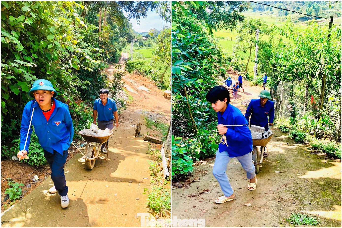 Bạn trẻ phải sử dụng xe rùa để vận chuyển vật liệu. Bạn trẻ phải sử dụng xe rùa để vận chuyển vật liệu.