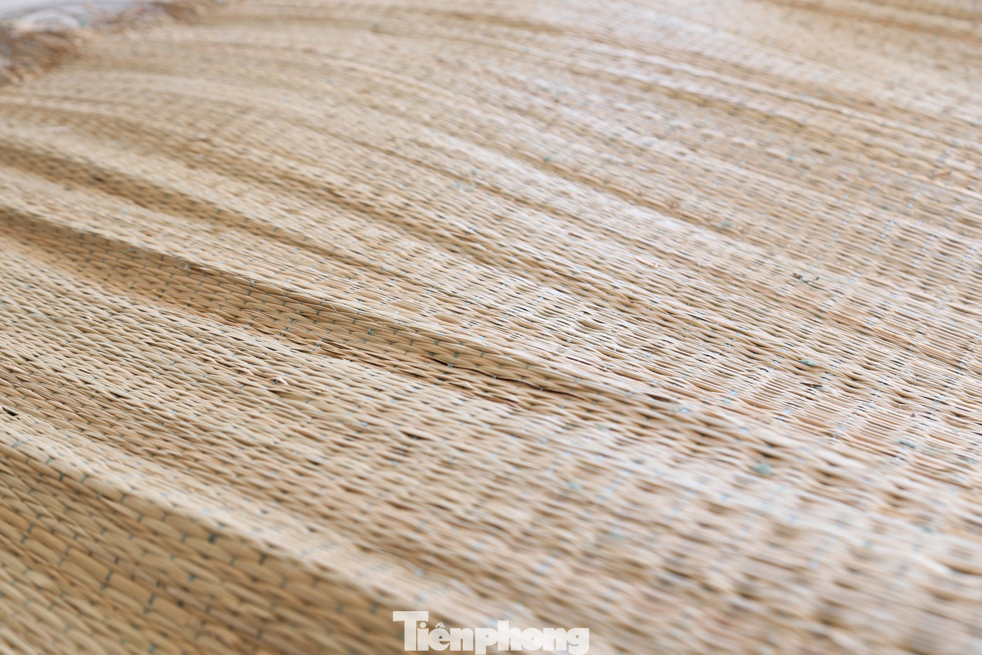 Những chiếc chiếu cói được làm hoàn toàn thủ công, đảm bảo tiêu chí đông ấm, hè mát.