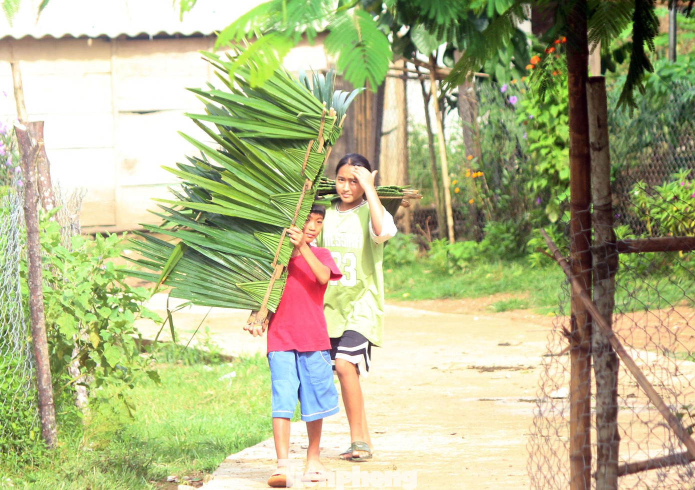 Các em nhỏ cũng rất hào hứng phụ giúp