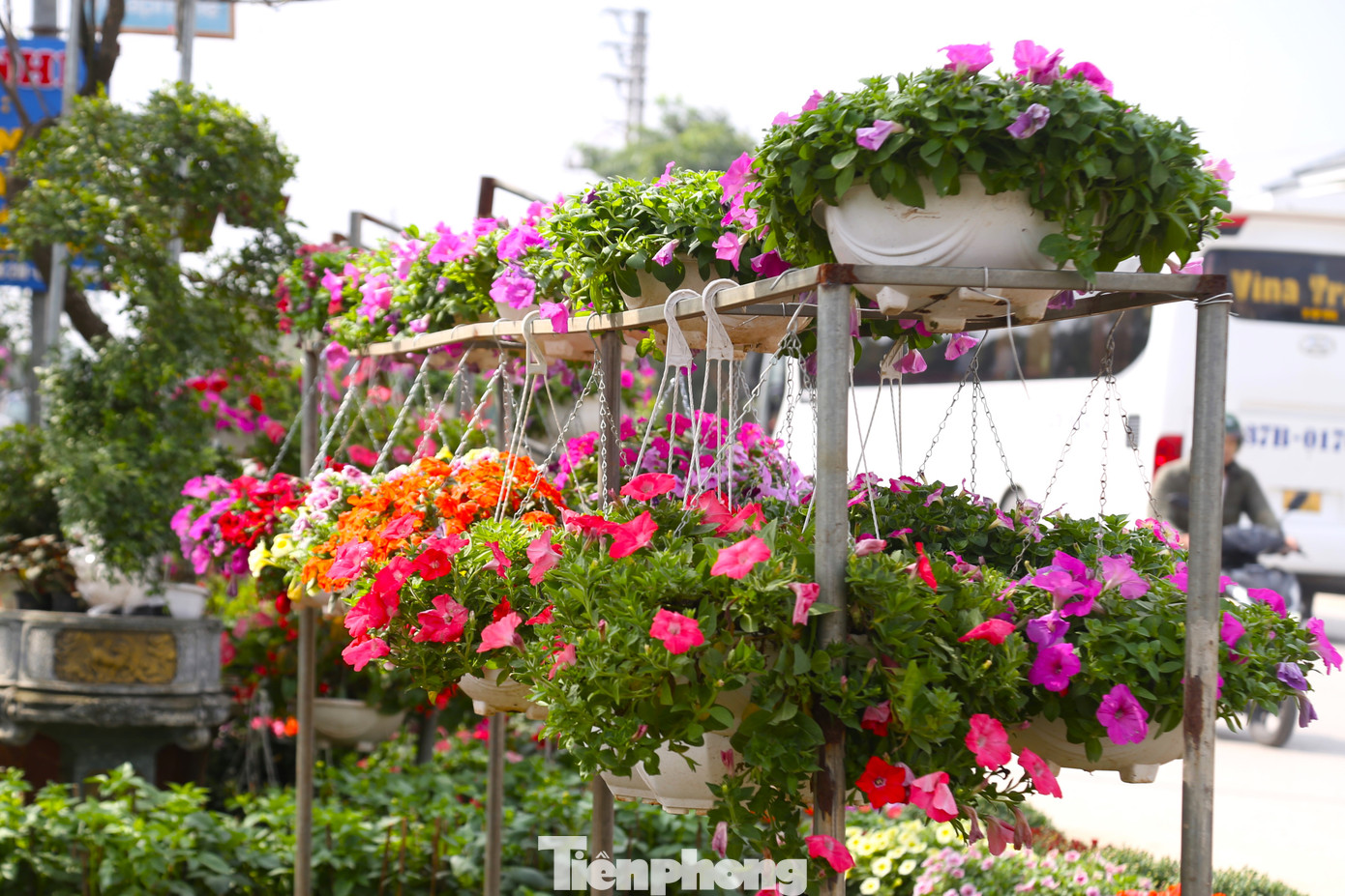 Mặt hàng hoa khá đa dạng với nhiều chủng loại, nhiều mức giá.