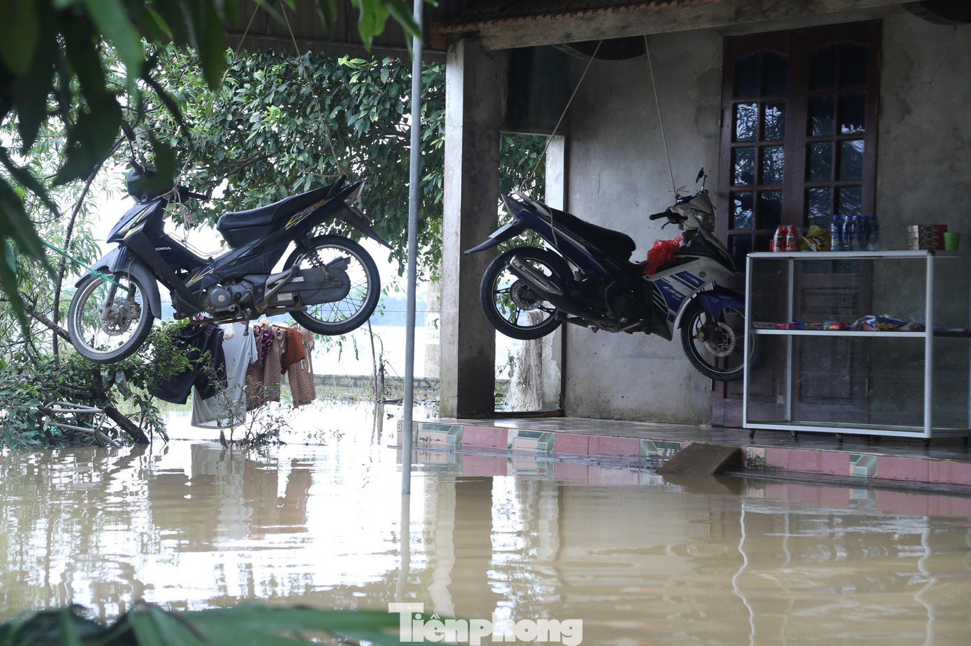 Hai chiếc xe máy được người dân buộc lên cao tránh nước lũ Hai chiếc xe máy được người dân buộc lên cao tránh nước lũ