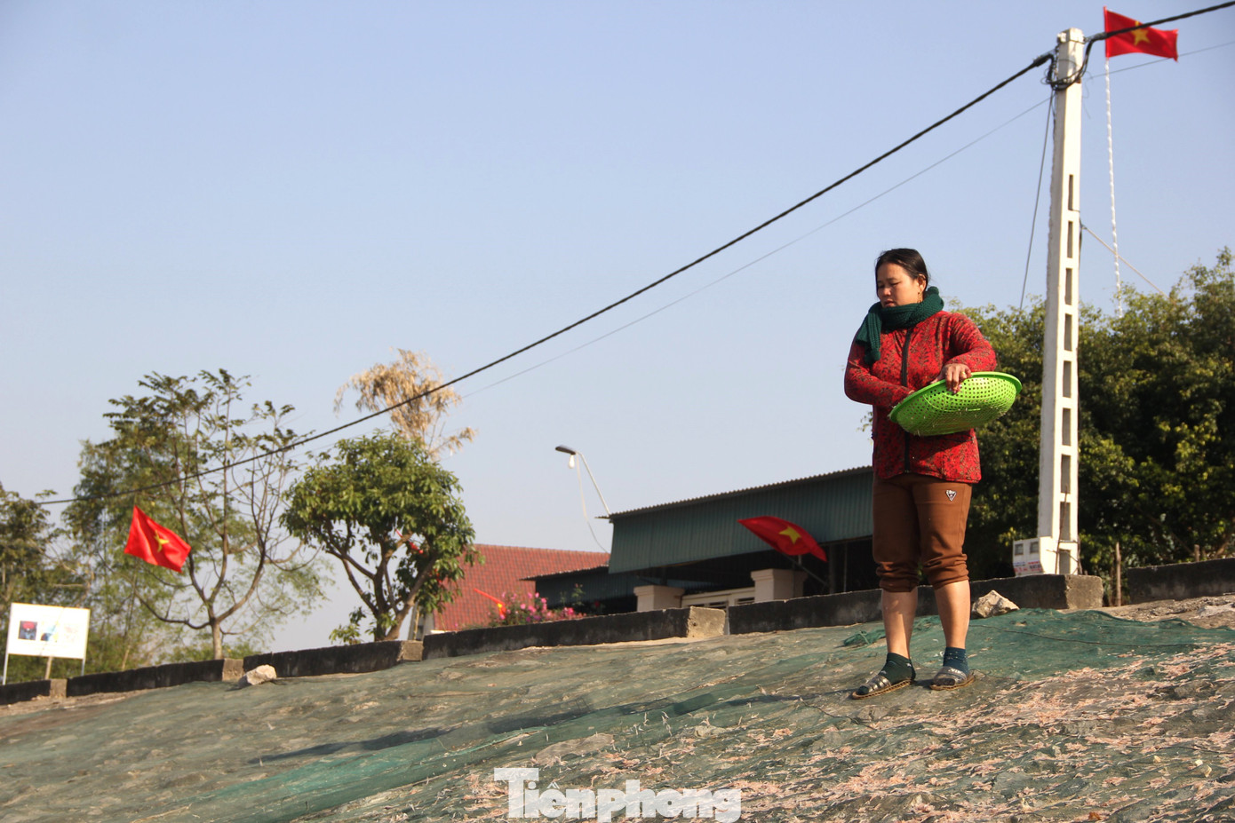 Giá mỗi kg ruốc biển tươi khi đưa lên bờ được thu mua khoảng 15.000 – 20.000 đồng/kg, ruốc biển khô được thu mua với giá 50.000- 60.000 đồng/kg. Do vậy, tranh thủ thời tiết nắng ấm, người dân phơi ruốc biển bán được giá hơn.