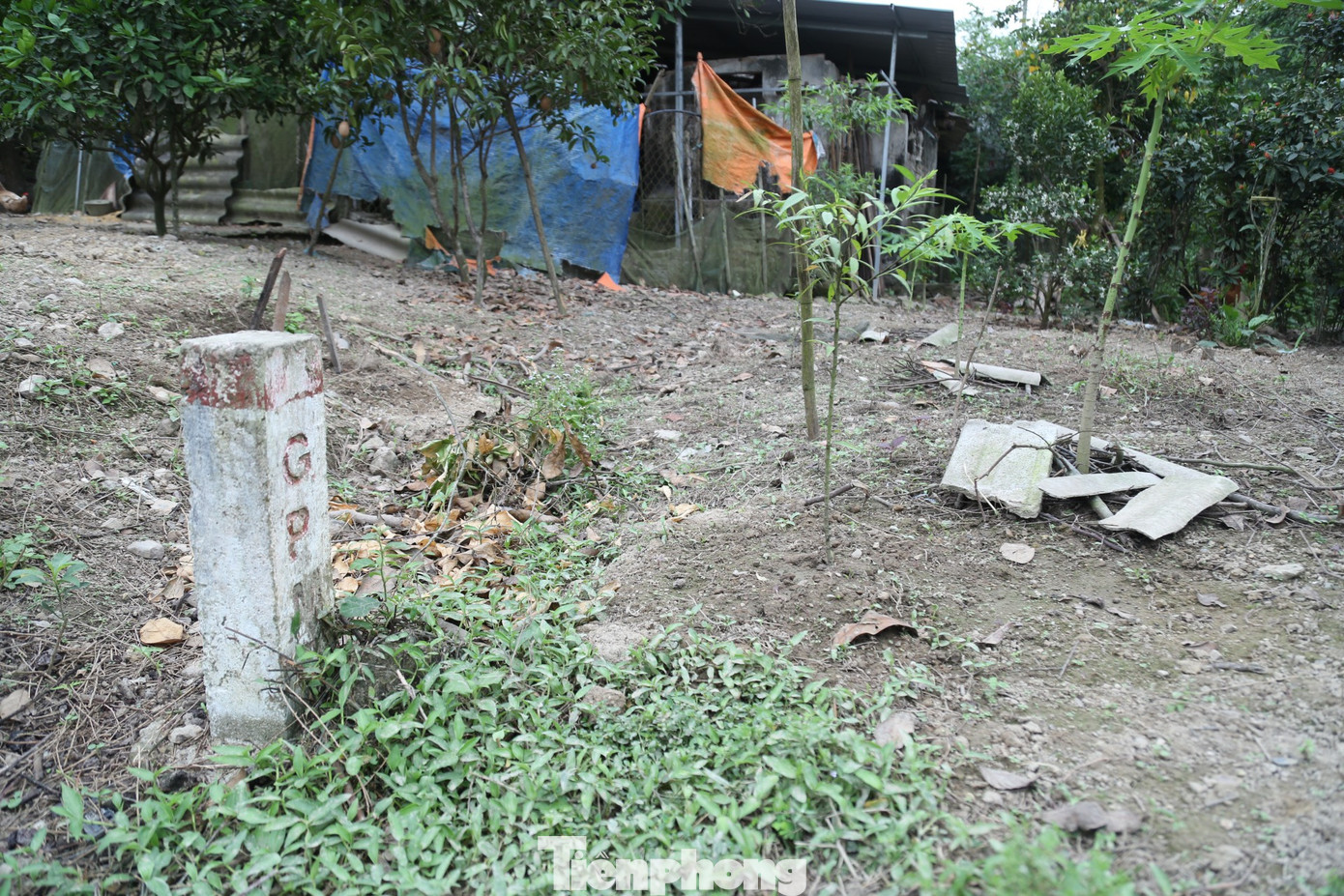 Tại vị trí gia đình ông Công và vài hộ dân lân cận, để đảm bảo đi lại khi có tuyến cao tốc Bắc - Nam phải làm cầu và đường gom dân sinh đi qua cao tốc. Việc thi công cầu và đường gom gặp khó khăn do người dân chưa bàn giao mặt bằng.