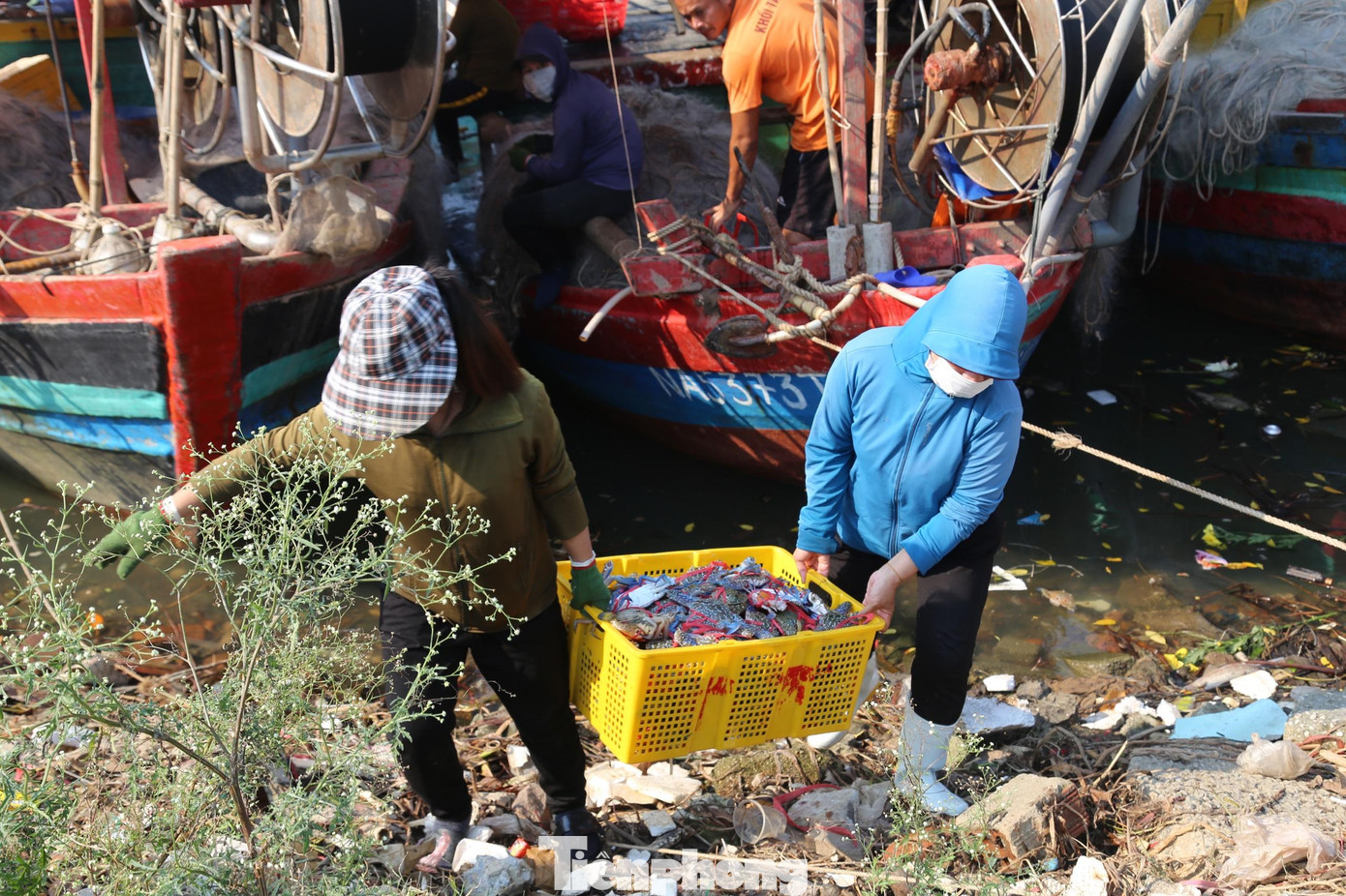 Theo những ngư dân nơi đây, tháng 7 - 10 (âm lịch) hằng năm là mùa ghẹ. Mỗi chiếc thuyền ra khơi, ngư dân đều trang bị 2 - 3 vàng lưới đánh ghẹ, mỗi vàng lưới được kéo lên sau khoảng 3 tiếng thả lưới, thu về nhiều tạ ghẹ.
