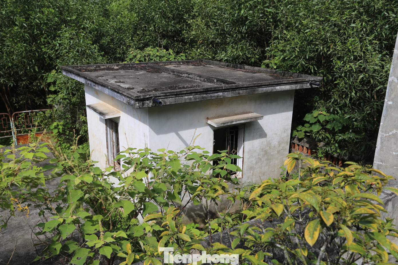 Ông Đào Danh Hà - Chủ tịch UBND xã Bài Sơn cho biết: “Nhiều năm qua hàng trăm hộ dân trên địa bàn đang phải sử dụng nguồn nước khoan để sinh hoạt, ăn uống. Kể từ khi nhà máy nước này được xây dựng nhưng không hiệu quả, xã không còn được đầu tư công trình cấp nước nào. Địa phương nhiều lần kiến nghị lên UBND huyện Đô Lương xin được đấu nối để dẫn nước sạch từ Nhà máy nước Hoà Sơn nằm cách đó khoảng 4km nhưng vẫn chưa thực hiện được”.