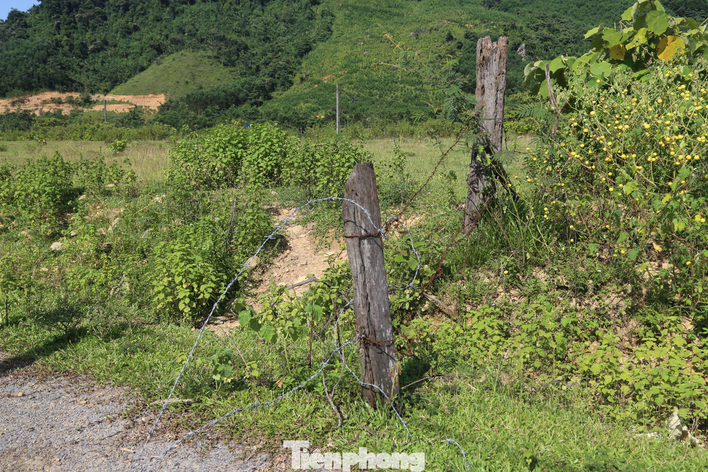 Khu vực phía sau nhà văn hóa được rào thép gai