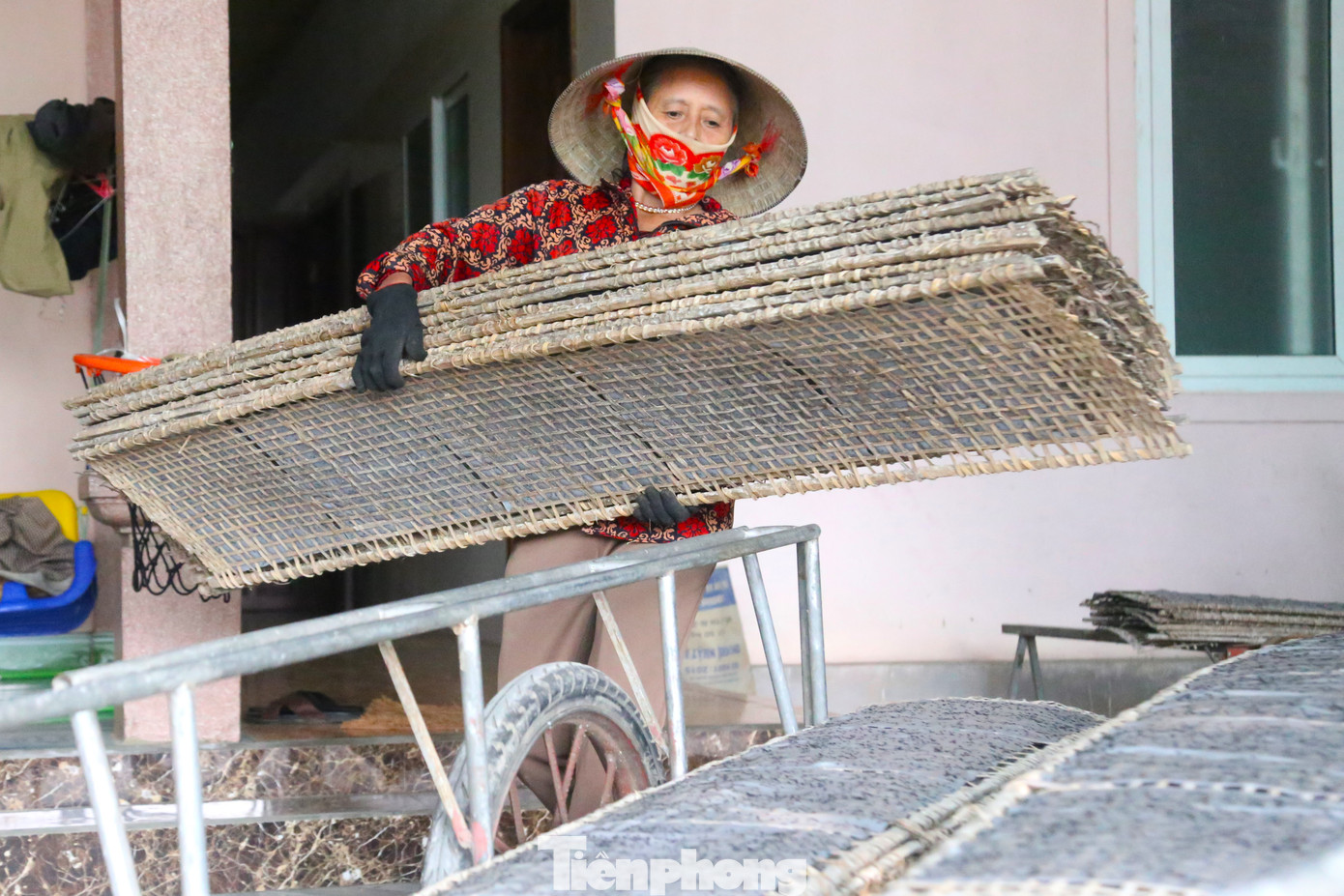 Bánh sau khi tráng sẽ được mang đi phơi.