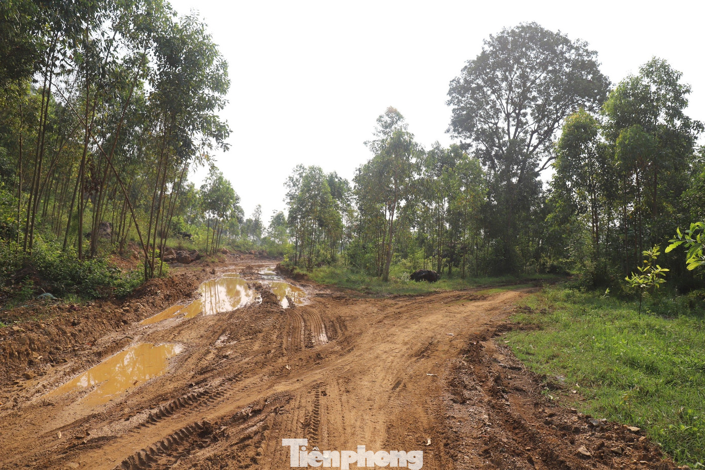 Con đường vận chuyển nguyên, vật liệu được mở rộng khoảng 4m, bám quanh chân Lèn Hai Vai đã được hình thành. Sau thời gian bị xe chở vật liệu cày nát, hiện con đường có nhiều điểm đọng nước. Con đường vận chuyển nguyên, vật liệu được mở rộng khoảng 4m, bám quanh chân Lèn Hai Vai đã được hình thành. Sau thời gian bị xe chở vật liệu cày nát, hiện con đường có nhiều điểm đọng nước.