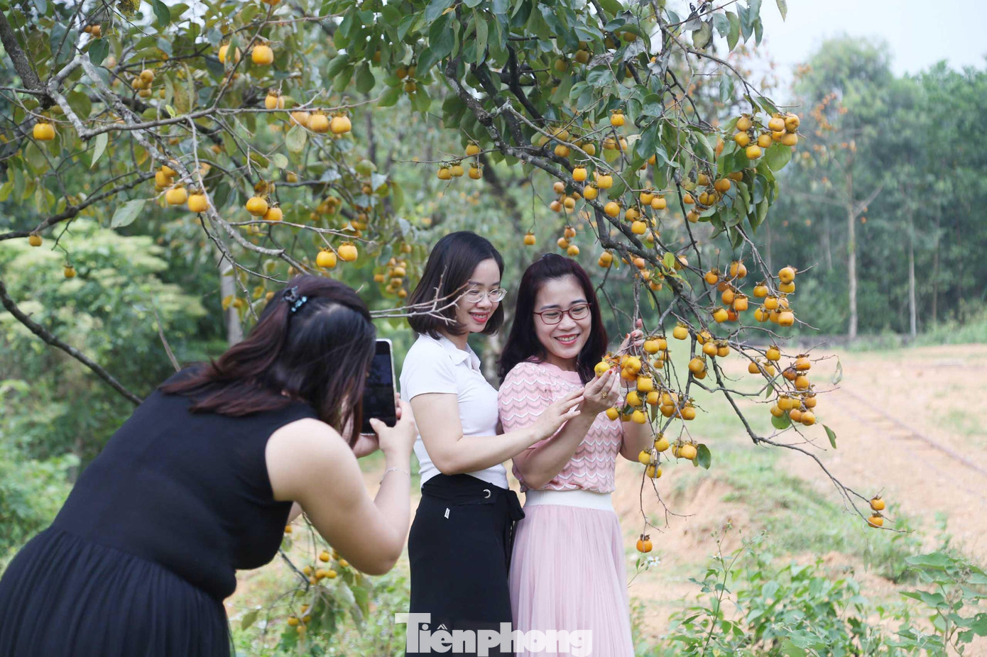 Không khí thanh bình, cảnh sắc tuyệt đẹp khiến nơi đây trở thành một điểm thu hút khách đến check-in.