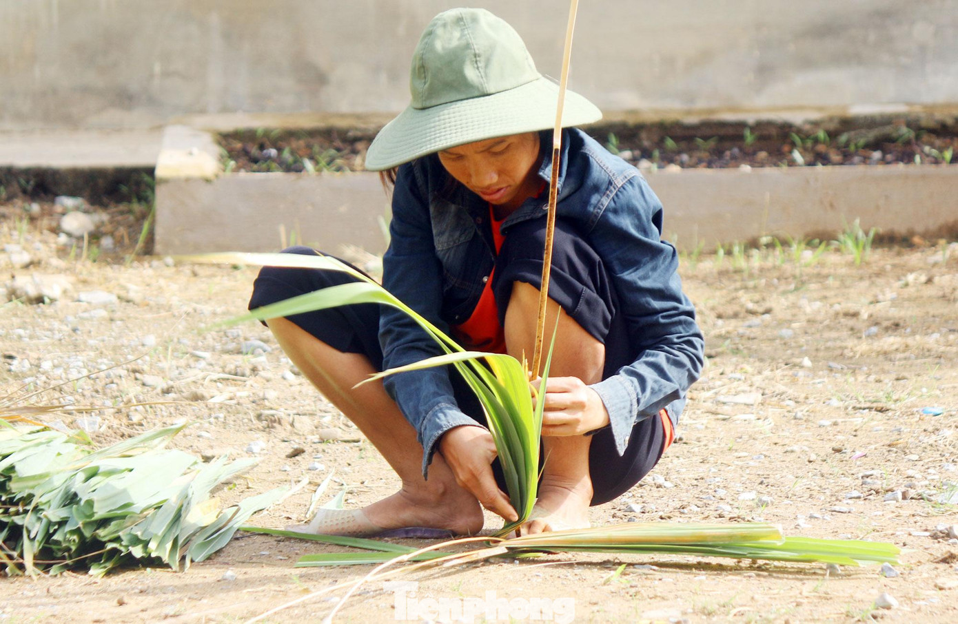 Việc đan tranh tốn khá nhiều thời gian