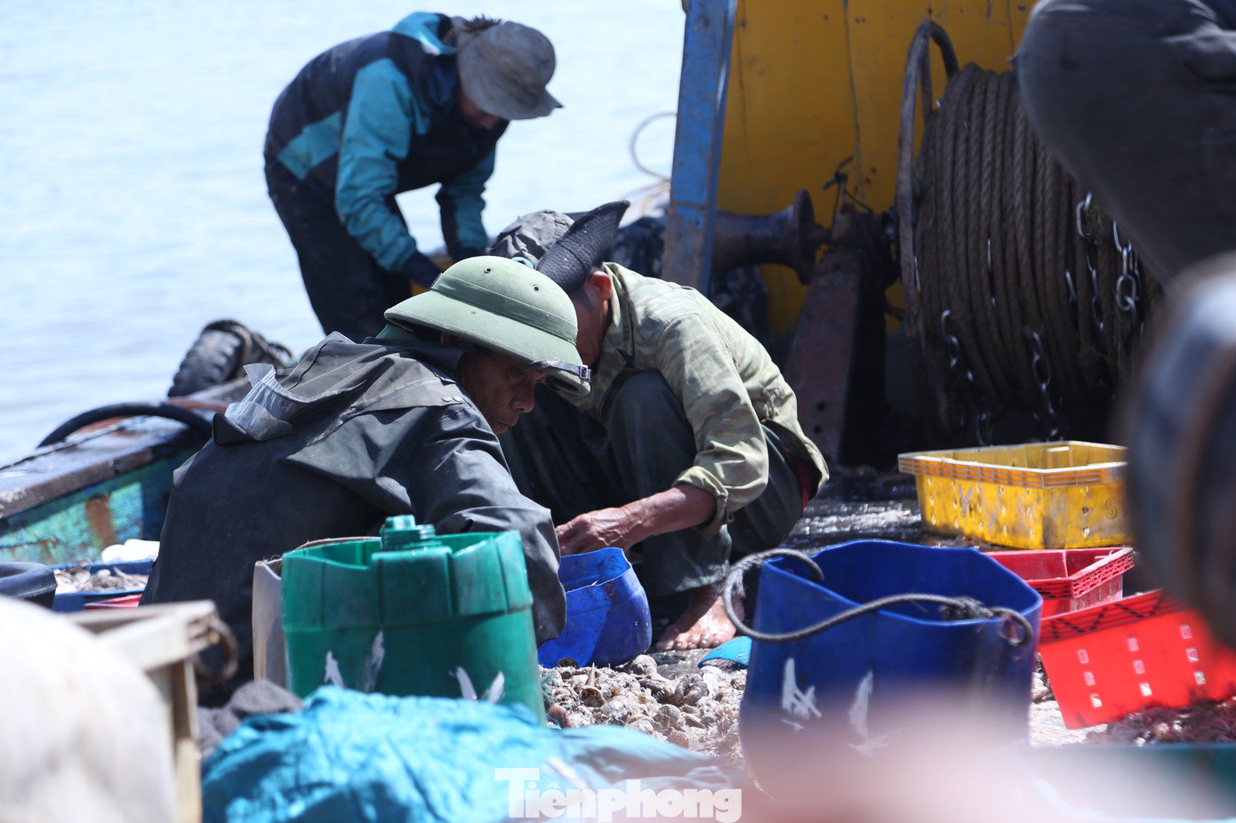 Khi tàu cá cập cảng, ngư dân lựa chọn các mặt hàng hải sản ngay trên mạn tàu để vận chuyển vào khu vực cảng cá xuất bán. Khi tàu cá cập cảng, ngư dân lựa chọn các mặt hàng hải sản ngay trên mạn tàu để vận chuyển vào khu vực cảng cá xuất bán.