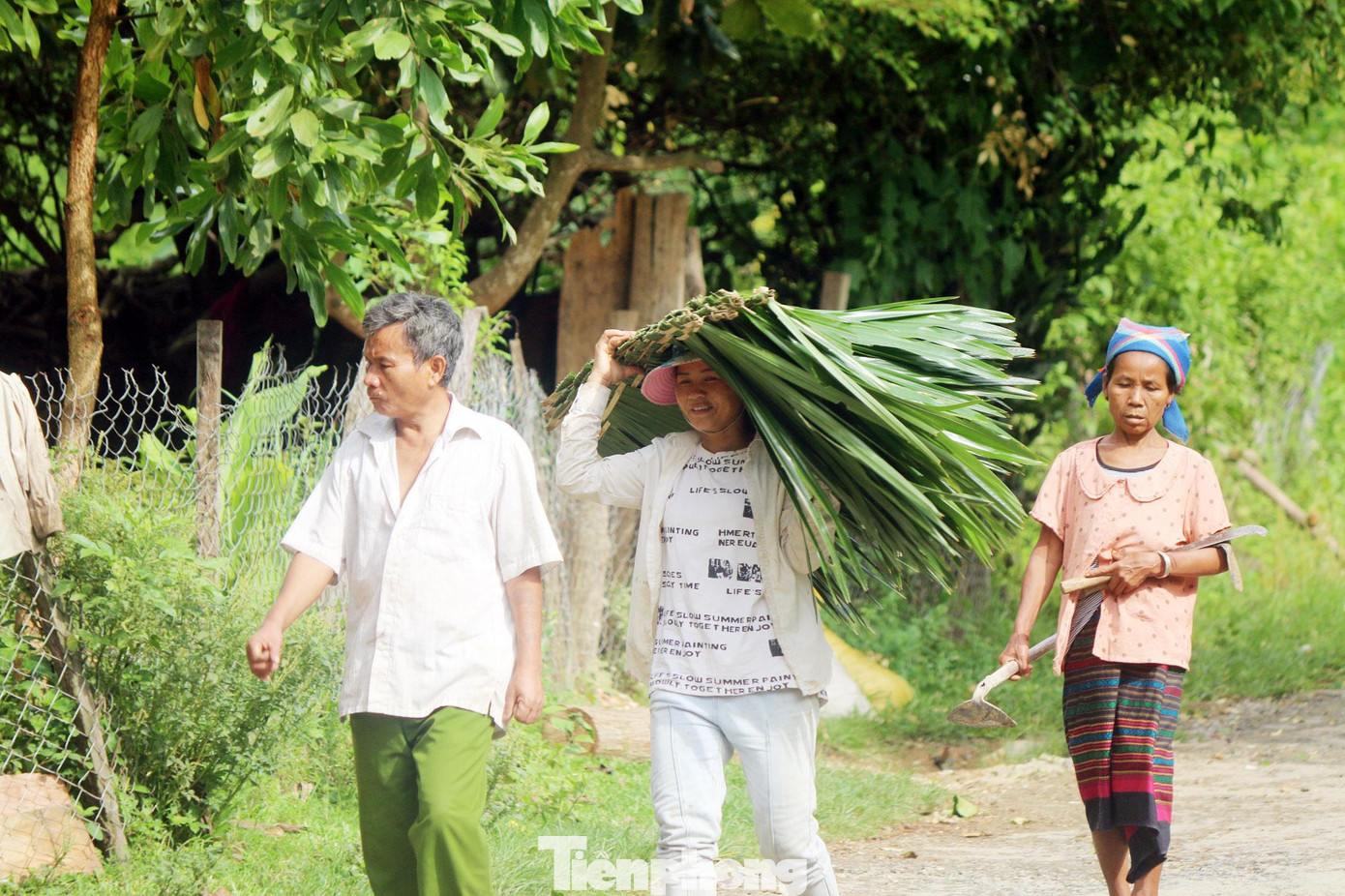 6 giờ sáng, các giáo viên, phụ huynh đã tập trung tại điểm trường Tiểu học Lượng Minh (xã Lượng Minh, huyện Tương Dương, Nghệ An), trên tay họ cầm theo tranh, tre, nứa để dựng phòng đọc sách cho học sinh trước thềm năm học mới.