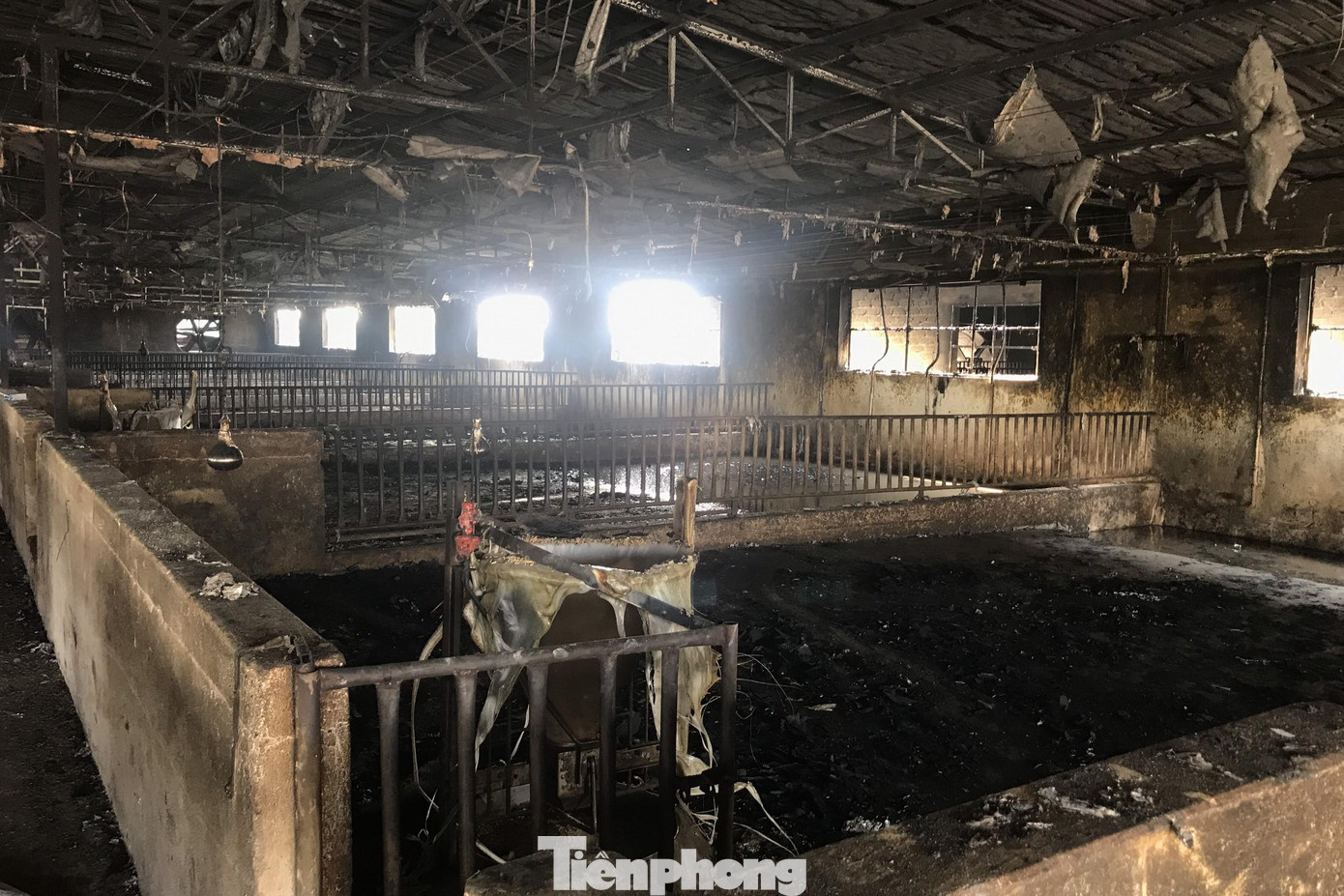 Ngọn lửa lớn đã khiến hệ thống chuồng trại bị hư hỏng nặng