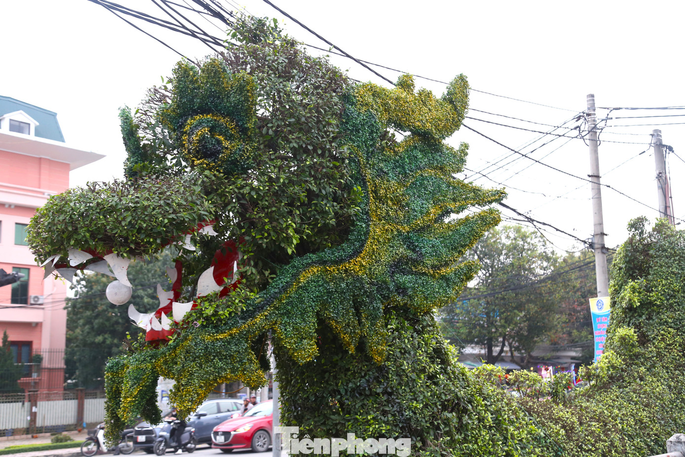 Trước đó, hình ảnh hai con rồng bằng cây xanh đặt tại cửa ngõ vào trung tâm TP Vinh đăng tải trên mạng xã hội đã nhận được nhiều ý kiến trái chiều. Người khen rồng được tạo dáng cầu kỳ từ các cây xanh. Có người lại cho rằng, hàng cây không giống rồng. Thậm chí, một số người còn ví hai cây cảnh hình rồng này trông giống con lươn... Trong ảnh là hình ảnh con rồng trước và sau khi được chỉnh sửa.