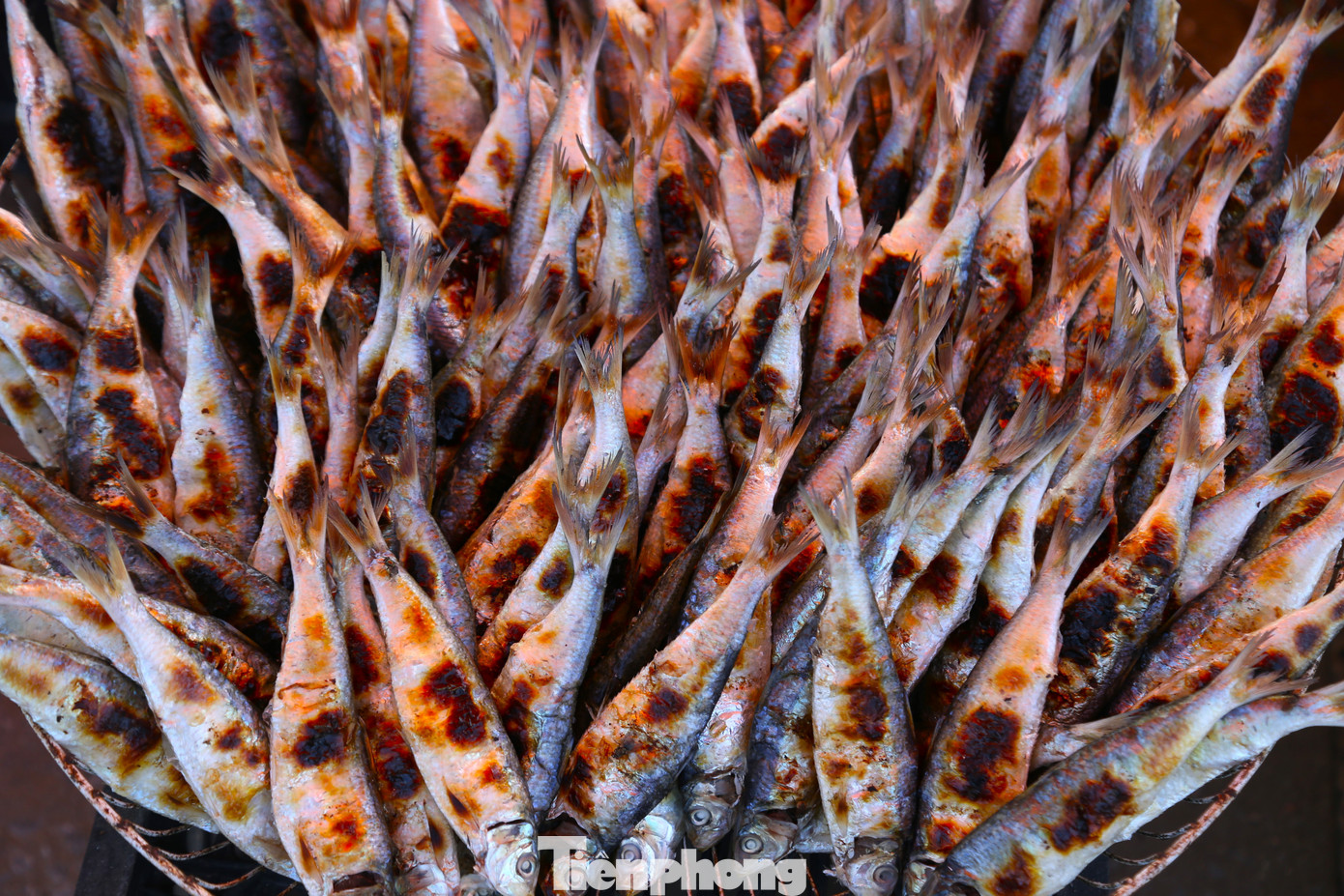 Cá trích nướng được bán với giá 40.000 đồng/kg.