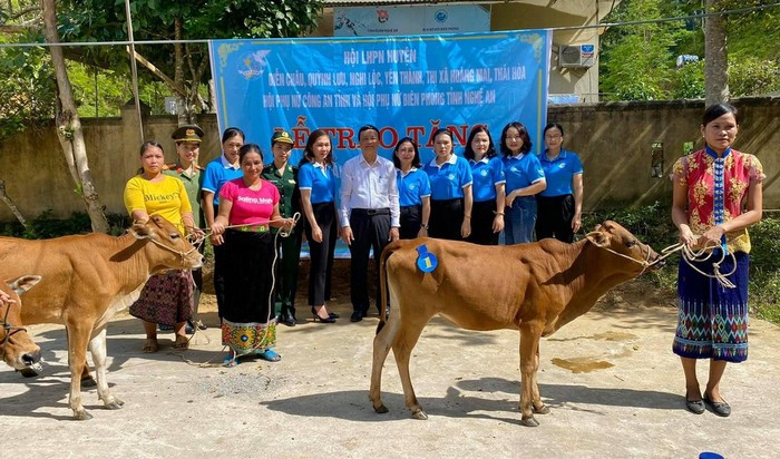 Trao tặng đàn bò sinh kế cho các hội viên hội phụ nữ trên địa bàn huyện Tương Dương Trao tặng đàn bò sinh kế cho các hội viên hội phụ nữ trên địa bàn huyện Tương Dương