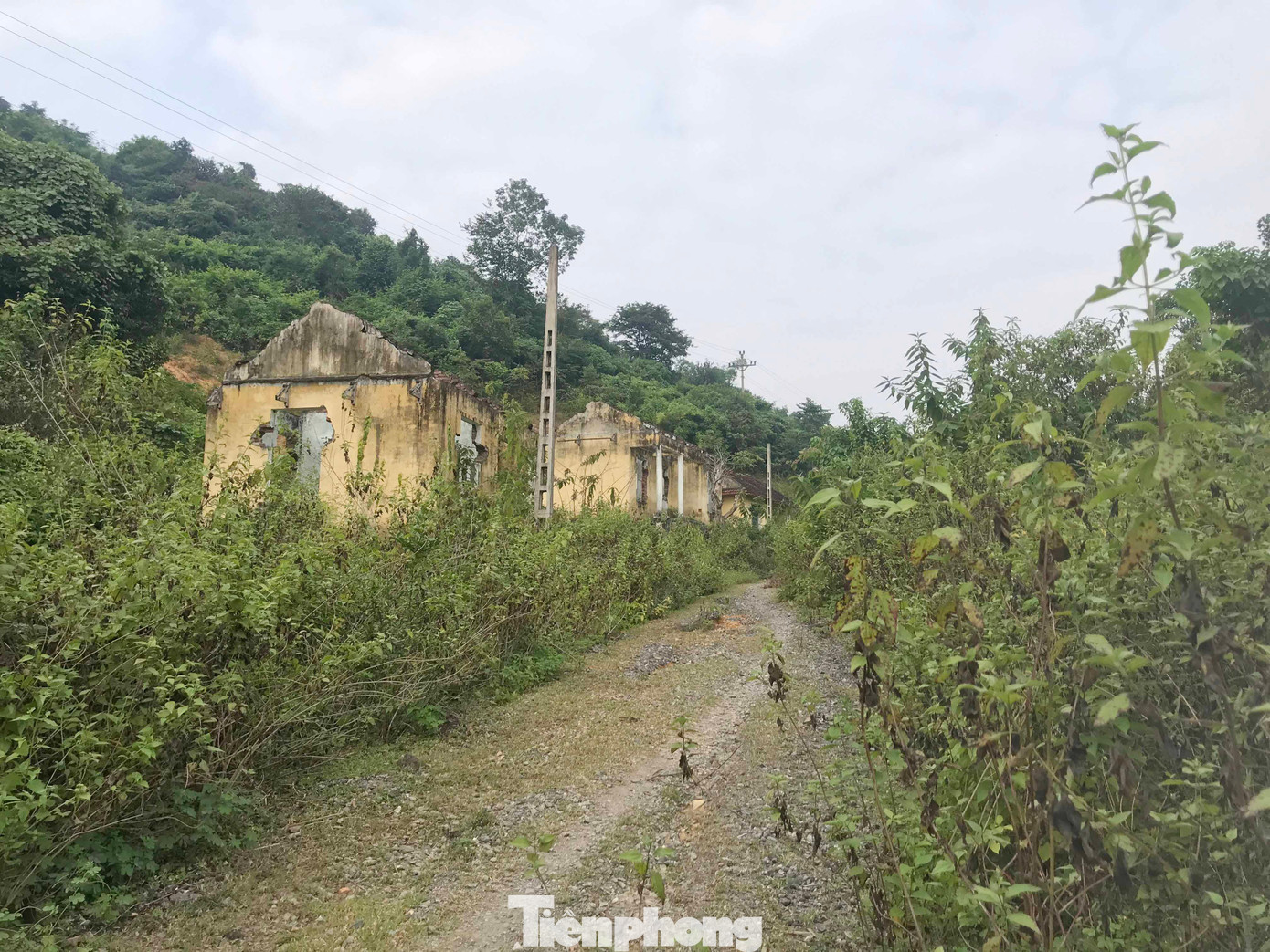 Năm 2005, hàng trăm hộ dân ở xã Yên Na, huyện Tương Dương, Nghệ An rời bản để đến khu tái định cư mới, nhường lại đất cho công trình thủy điện Bản Vẽ. Họ di dời lên khu tái định cư Khe Ò, xã Yên Na. Qua thời gian, khu tái định cư bị bỏ hoang, không một bóng người. Người dân địa phương ví khu tái định cư như ‘ngôi làng ma’. Năm 2005, hàng trăm hộ dân ở xã Yên Na, huyện Tương Dương, Nghệ An rời bản để đến khu tái định cư mới, nhường lại đất cho công trình thủy điện Bản Vẽ. Họ di dời lên khu tái định cư Khe Ò, xã Yên Na. Qua thời gian, khu tái định cư bị bỏ hoang, không một bóng người. Người dân địa phương ví khu tái định cư như ‘ngôi làng ma’.